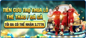 Hoàn trả thể thao