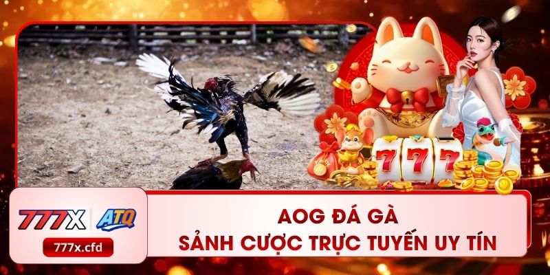 AOG Đá Gà: Sảnh Cược Trực Tuyến Uy Tín Trải Nghiệm Công Bằng