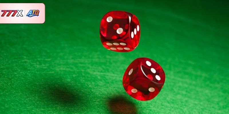 Lưu ý quan trong khi thực hiện bắt vị