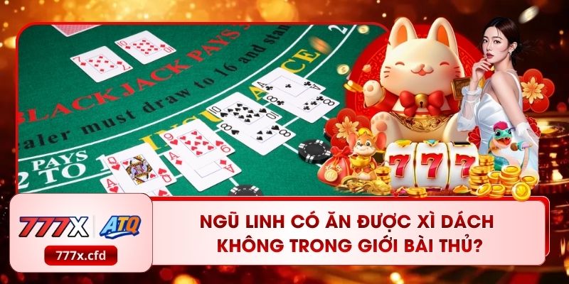Ngũ Linh Có Ăn Được Xì Dách Không Trong Giới Bài Thủ?